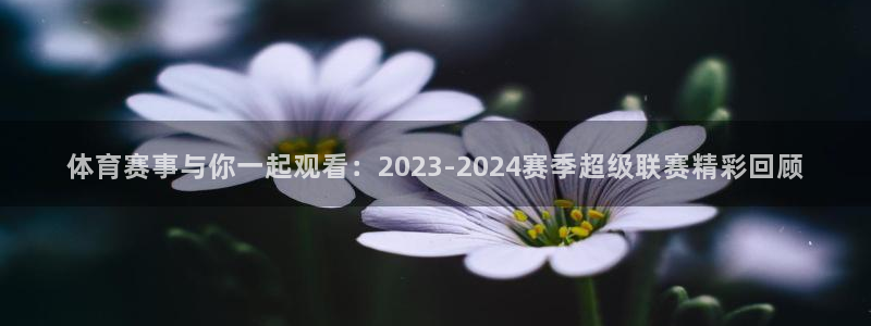 jrs直播无插件低调看直播nba：体育赛事与你一起观看：2023-2024赛季超级联赛精彩回顾