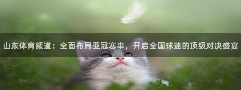 jrs直播：山东体育频道：全面布局亚冠赛事，开启全国球迷的顶级对决盛宴