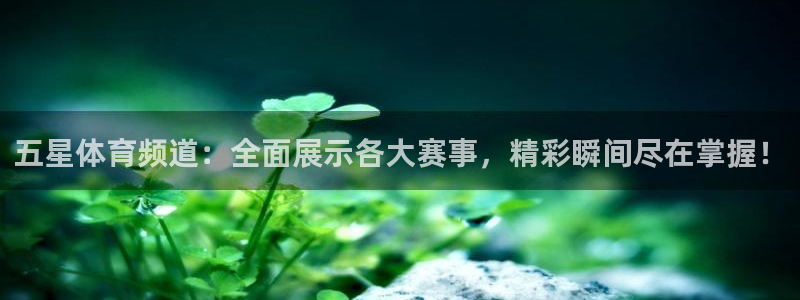 jrs直播nba：五星体育频道：全面展示各大赛事，精彩瞬间尽在掌握！